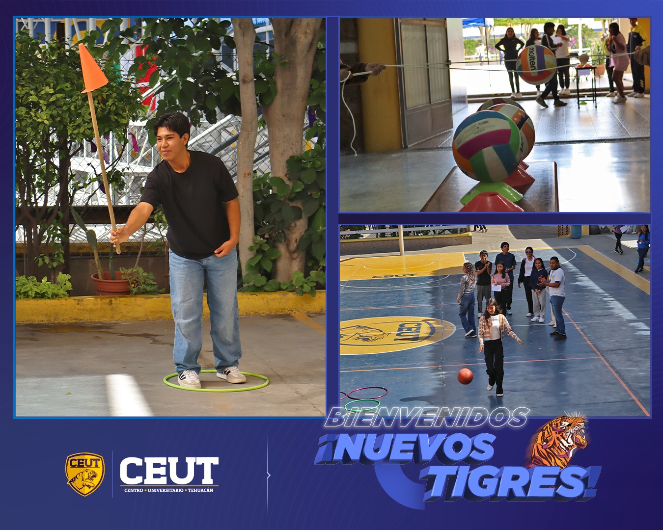Bienvenido Nuevos Tigres
